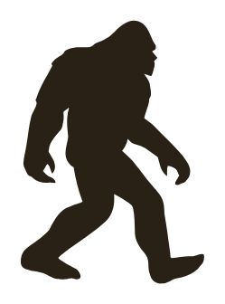 Squatch
